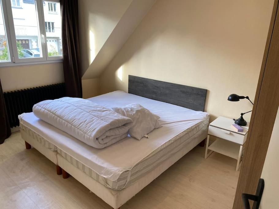 Appartement Spacieux 2 Chambres 캥페르 외부 사진
